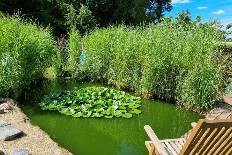 Gartenbereich, Foto: Eckard Krüger, Lizenz: Eckard Krüger